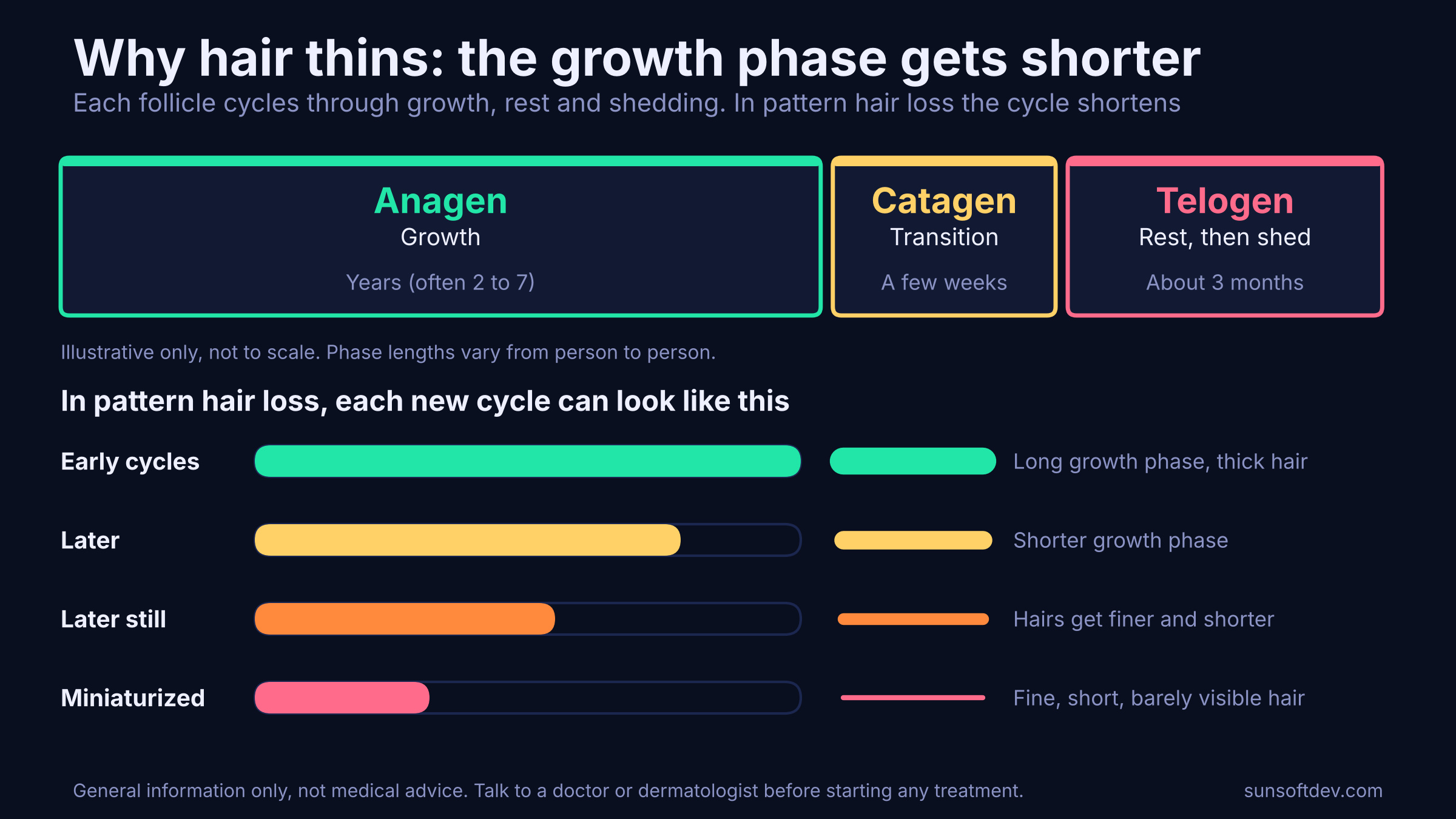 A diagram of the three hair cycle phases, with four rows showing the growth phase getting shorter and the hair getting finer in pattern hair loss.
